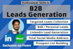 do targeted b2b lead generation perfectly from using any site