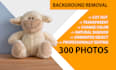 do photo background removal professionally asap delivery