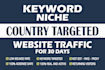 drive keyword targeted web traffic monthly