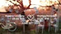 make beautiful wedding video invitation