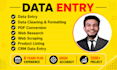 be your virtual assistant for data entry, data mining, copy paste, web research
