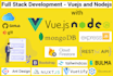 build web app with vuejs, nuxt, nodejs, mongodb, javascript