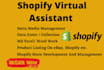 your online store manager and ecommerce VA