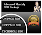 do an advanced monthly SEO and will fix all site errors