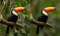 add motion blur effect in photo to make it stand out
