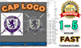 pro embroidery digitizing logo for caps in 2 to 6 hours
