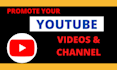 do professional youtube promotion for your channel