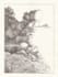 illustrate your story or advertisement with traditional ink illustrations