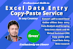 do perfect excel data entry, copy paste and web research