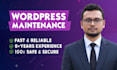 edit fix and maintain your wordpress website
