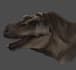 sketch an animal or create a creature design