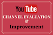 evaluate your youtube channel for organic engagement