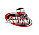do an automotive, car racing and car wash logo design