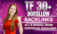 boost your website ranking with high trust flow backlinks
