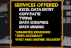 do excel data entry web scraping copy pasting and typing
