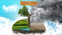 write professional environment science content