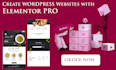expertly crafting professional wordpress websites using elementor pro