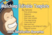 create editable mailchimp template as a mailchimp expert