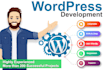 create and customize wordpress website for your business