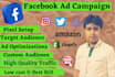 create laser targeted facebook ads campaign for best results