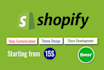 develop shopify drop shipping store