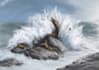 draw your paleoart illustration project