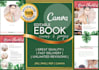 design high quality lead magnet and pdfs in 24 hours