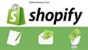 create passive income shopify dropshipping store or shopify website