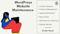 do website maintenance in wordpress on monthly basis