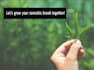 write a 1000 word article for your cannabis business