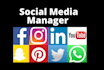 be social media manager