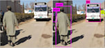 provide computer vision and machine learning solutions