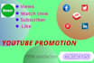 do perfect youtube  video promotion