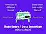 do data entry, data insertion within 12 hours