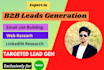 do b2b lead generation and email list building