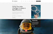 design and develop a professional wordpress website and blog