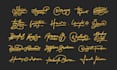 create handwritten modern signature and logo