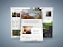 create your app design in adobe xd and figma