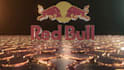 create a custom 3d logo animation