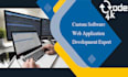 custom software and web application development expert