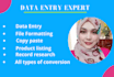 do excel and google sheet data entry,copy paste,pdf to excel