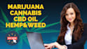 write SEO optimized marijuana, cannabis, cbd oil content for website and blog