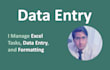 manage excel tasks, data entry, and formatting work