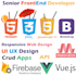 be your front end web developer html css javascript vue API
