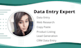 do fast and perfect data entry and web research