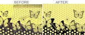 manually vector tracing,vectorize logo, scanned image etc