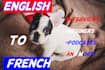 translate english into french