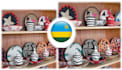 send and assist you with anything from rwanda