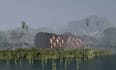design parametric structure, installation and pavilions