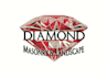 do professional embroidery digitizing in hours